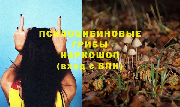 кокс Аркадак