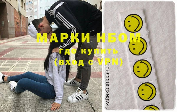 соль ск Пересвет