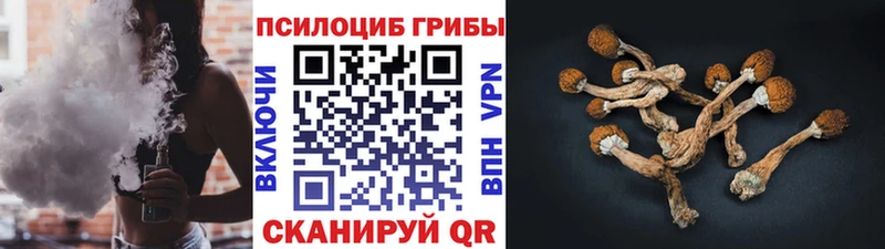 Псилоцибиновые грибы ЛСД  Тайшет 